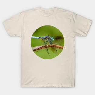 Blue Dasher Dragonfly Photograph T-Shirt